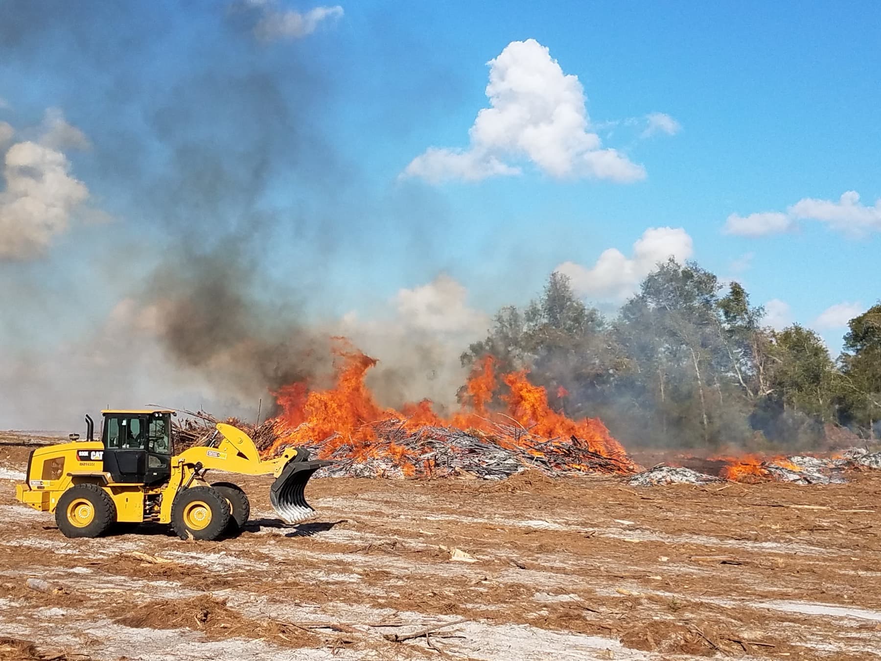 Controlled burn — winter '16
