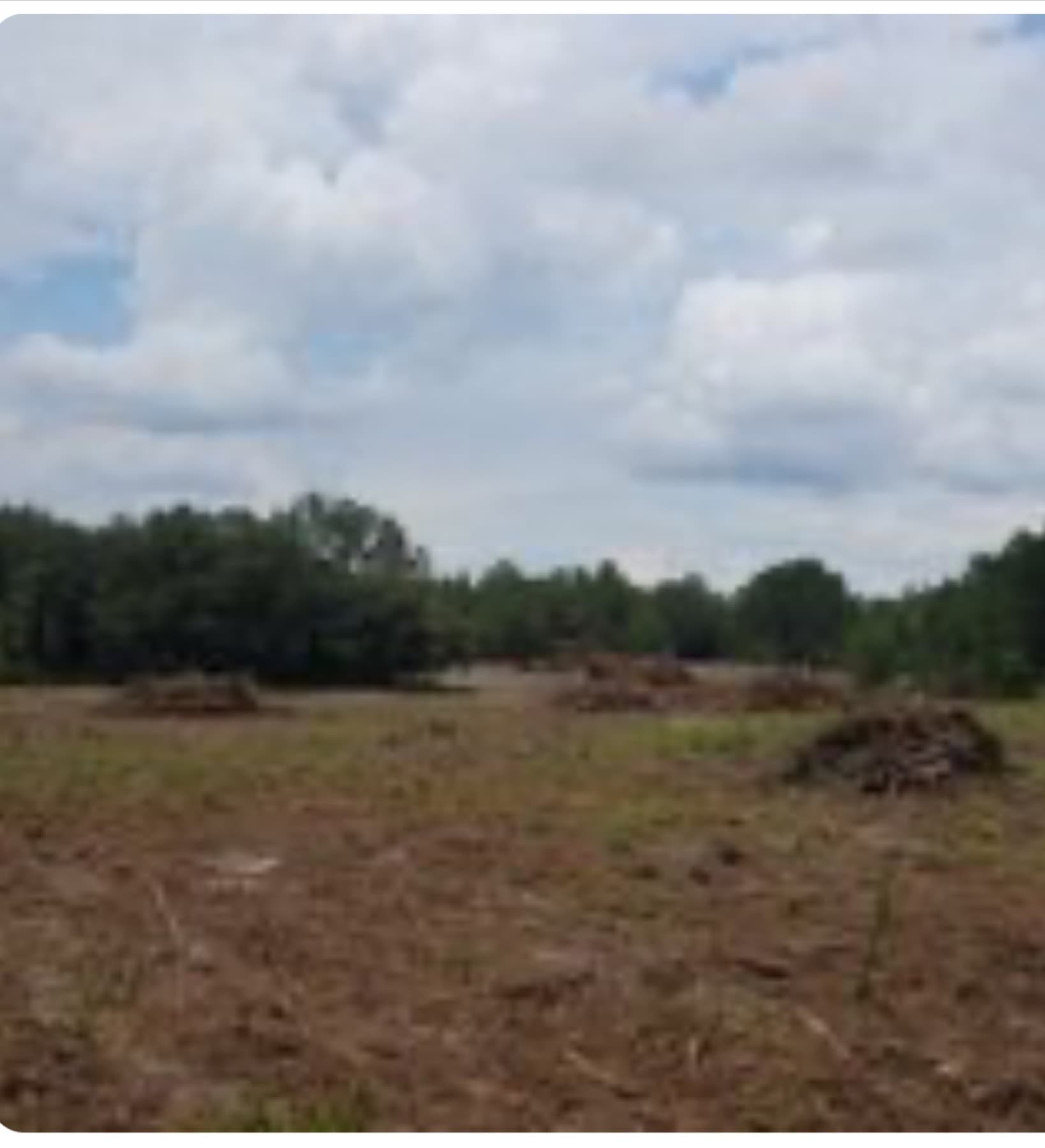 Cleared & ready