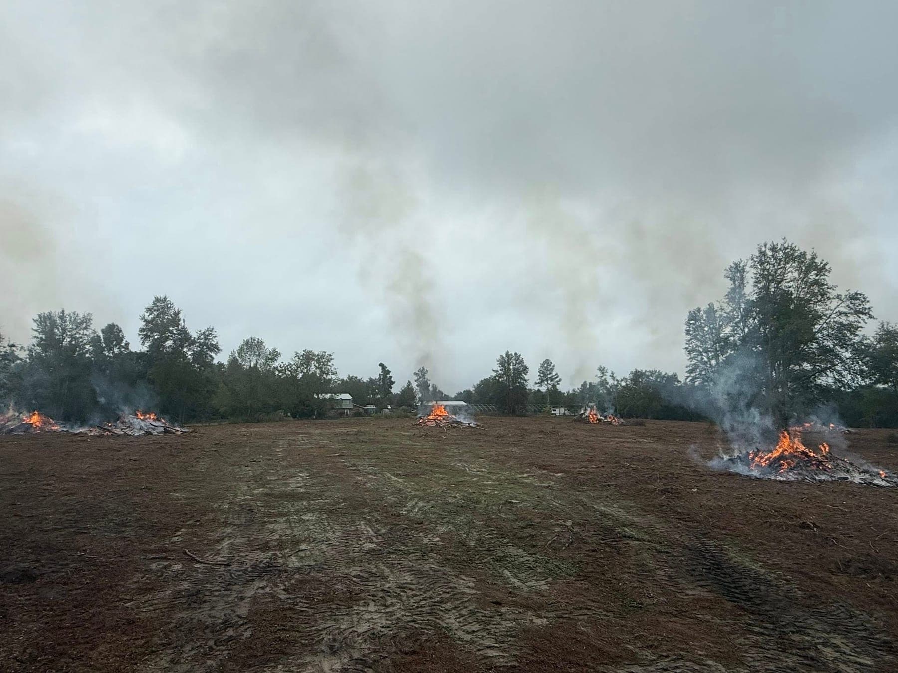 Burning the brush piles