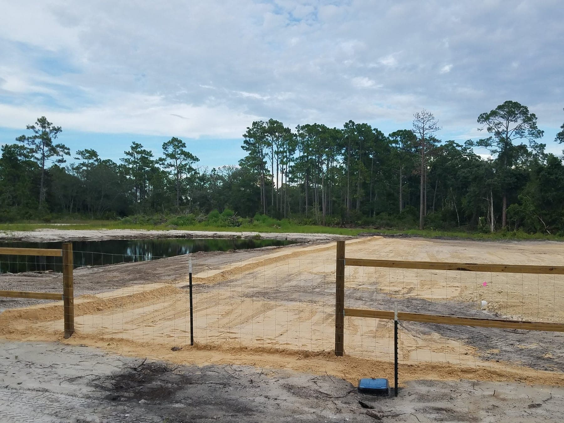 Pond bank & fence line