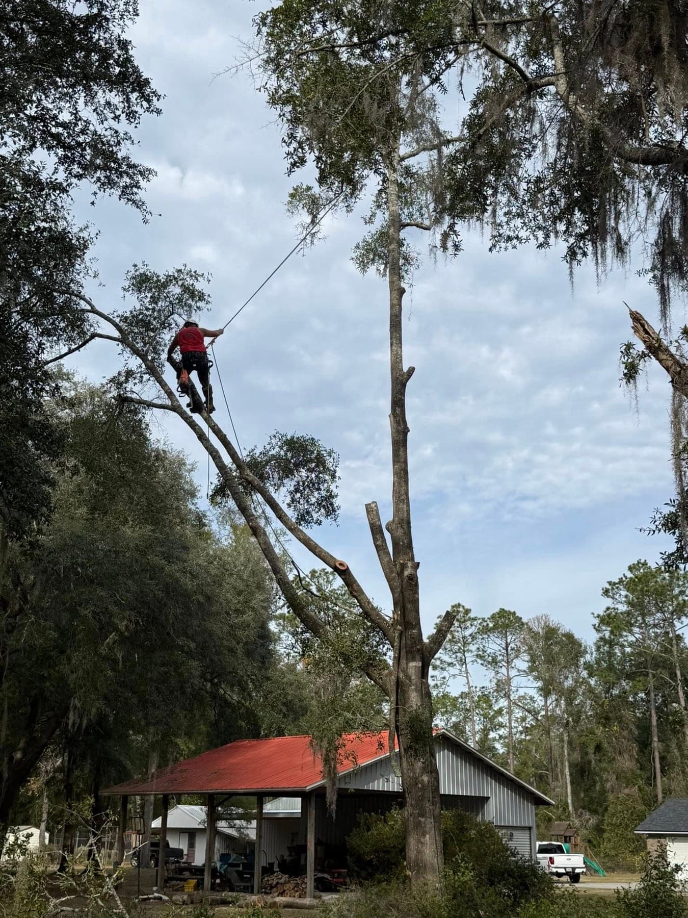 Roped in up top